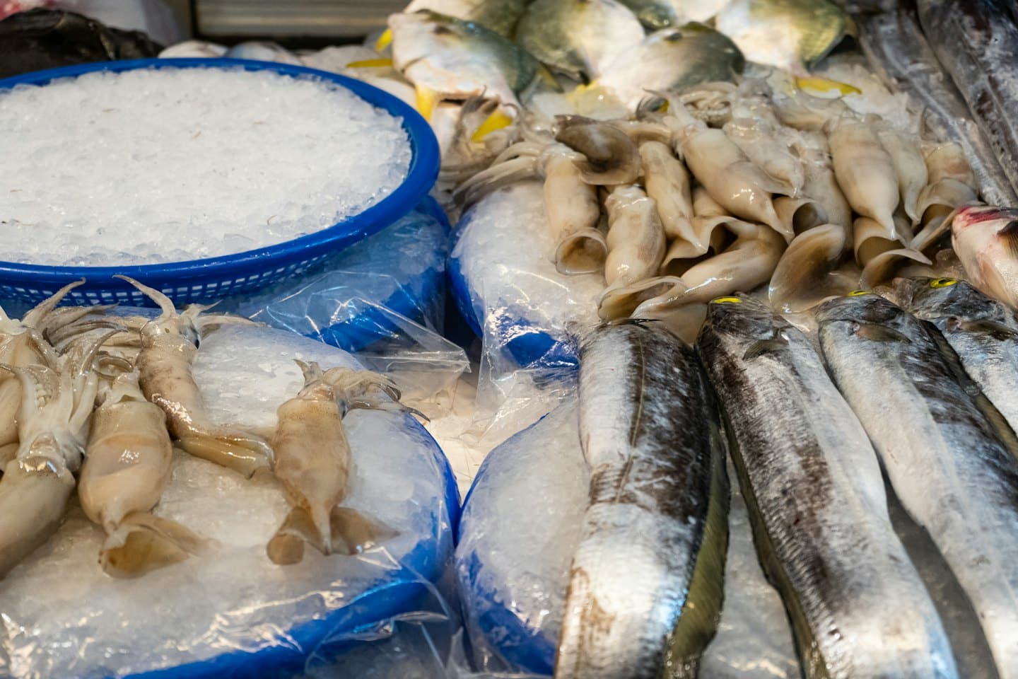 Fresh fish and squid displayed on crushed ice at market.