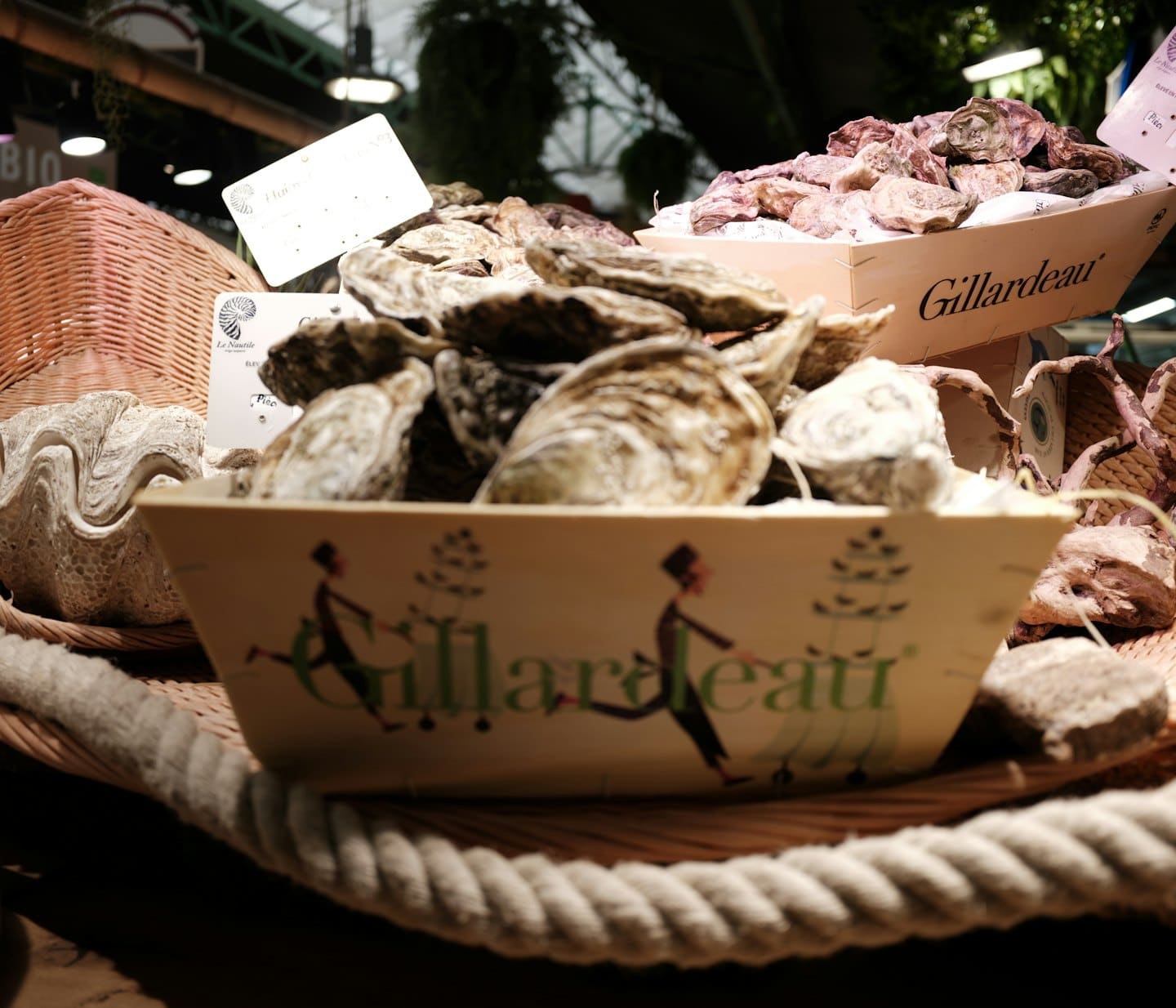 Fresh oysters arranged in wooden crates and baskets at a market.