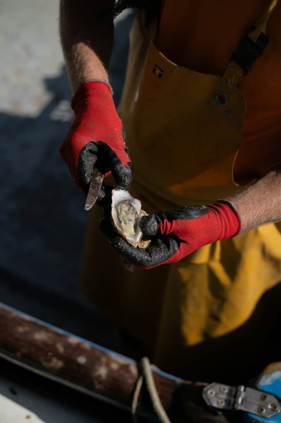 Fisherman in a yellow apron shucks an oyster with a knife.
